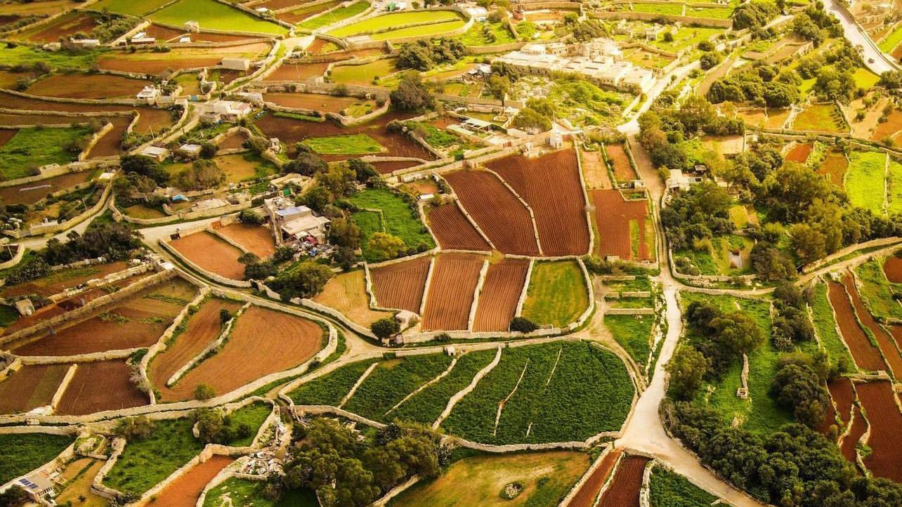 aerial shot of the fields