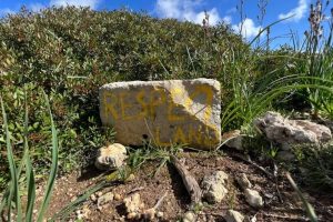 A stone that reads "Respect Land" in front of a bush