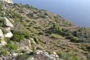 A downwards perspective of rocks with vegetation on them and the sea at the bottom