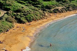 A sandy beach side with greenery on top