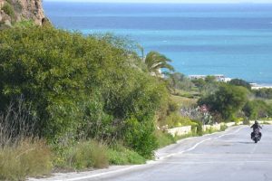 An open road with typical Mediterranean vegetation on the sides, focusing on a view of Ghadira Bay