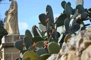 Prickly pear cluster in a foreground with an image of a statue of two figures, one an adult and the other a child.