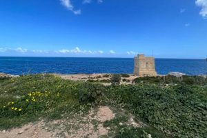 A field of low Mediterranean vegetation with a few simple buildings sprinkled here and there and a saturated blue sea at the horizon