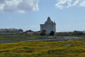 A field of yellow flowers with a small chapel seen in the middle