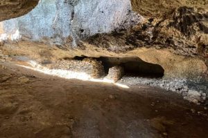 The interior of a cave with a stone wall on the opposite side and the entrance letting in sunlight
