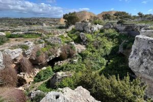 A relief of stone and rock with Mediterranean vegetation sprinkled in between